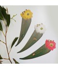 Bookmarks Trio | Leaf