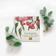 Drink Coasters | Eucalyptus | Set of 4