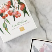 Cork Coasters | Eucalyptus | Set of 4