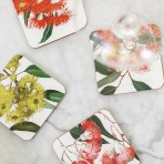 Cork Coasters | Eucalyptus | Set of 4 Cork Coasters | Eucalyptus | Set of 4