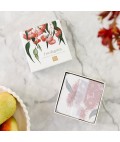 Cork Coasters | Eucalyptus | Set of 4