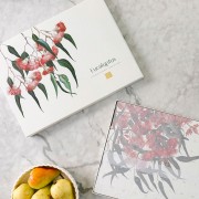 Cork Placemats | Eucalyptus | Set of 4