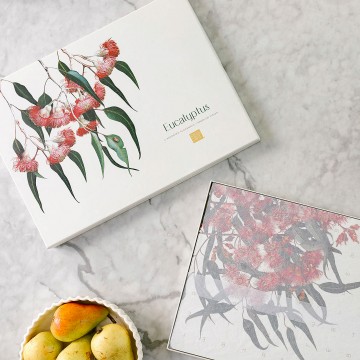 Cork Placemats | Eucalyptus | Set of 4