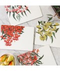 Cork Placemats | Eucalyptus | Set of 4