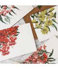 Cork Placemats | Eucalyptus | Set of 4