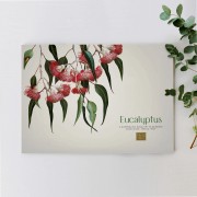 Dining Placemats | Eucalyptus | Set of 4