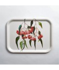 Tray | Eucalyptus | Gungurru | Rectangle