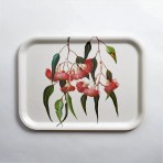 Tray | Eucalyptus | Gungurru | Rectangle
