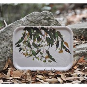Tray | Marri Gum | Rectangle