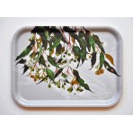 Tray | Marri Gum | Rectangle Tray | Marri Gum | Rectangle