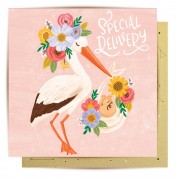 Greeting Card - Special Delivery