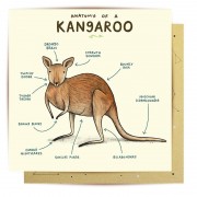 Greeting Card - Anatomy Of A Kangaroo