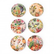 Coaster Set | Birds Of Australia