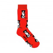 Socks | Border Collie | Red