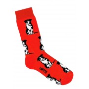 Socks | Border Collie | Red