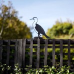 Metalbird | Cormorant | Large