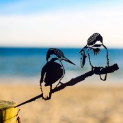 Metalbird - Kingfishers