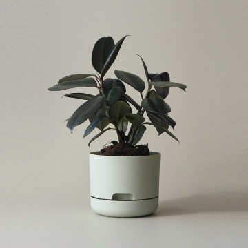 Mr Kitly x Decor Selfwatering Plant Pot 170mm Fog