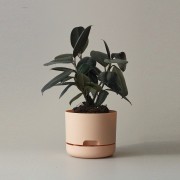 Mr Kitly x Decor Selfwatering Plant Pot | 170mm | Pale Apricot