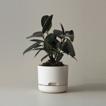 Mr Kitly x Decor Selfwatering Plant Pot 170mm - White Linen