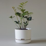 Mr Kitly x Decor Selfwatering Plant Pot 215mm - White Linen