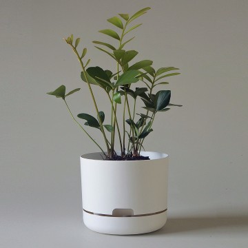 Mr Kitly x Decor Selfwatering Plant Pot 215mm White Linen
