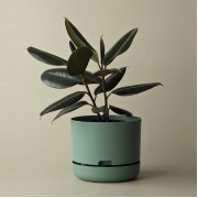 Mr Kitly x Decor Selfwatering Plant Pot 250mm Cabinet Green