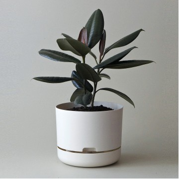 Mr Kitly x Decor Selfwatering Plant Pot 250mm White Linen