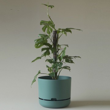 Mr Kitly x Decor Selfwatering Plant Pot 300mm Dark Moss