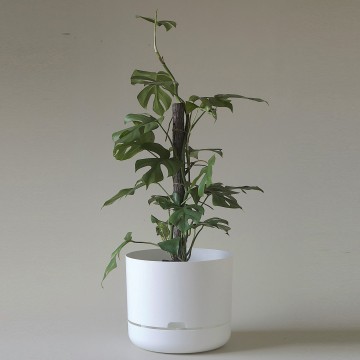 Mr Kitly x Decor Selfwatering Plant Pot 300mm White