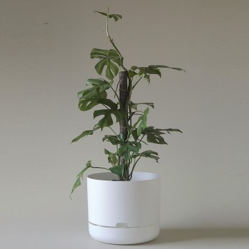 Mr Kitly x Decor Selfwatering Plant Pot | 300mm | White