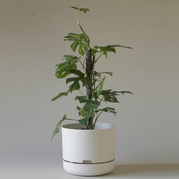 Mr Kitly x Decor Selfwatering Plant Pot 300mm - White Linen