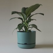 Mr Kitly x Decor Selfwatering Plant Pot 375mm - Dark Moss