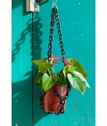 Universal Plant Hanger | Black