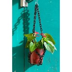 Universal Plant Hanger | Black Universal Plant Hanger | Black