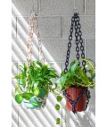 Universal Plant Hanger | Black