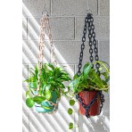 Universal Plant Hanger | Black Universal Plant Hanger | Black