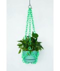 Universal Plant Hanger | Green