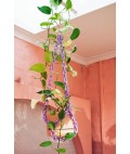 Universal Plant Hanger | Lilac