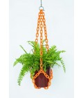 Universal Plant Hanger | Orange