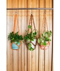 Universal Plant Hanger | Orange