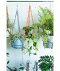 Universal Plant Hanger | Orange