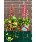 Universal Plant Hanger | Pink