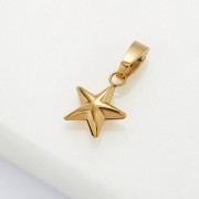 Charm | Mini Star