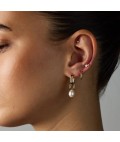 Earrings | Prue | Gold