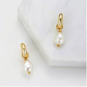 Earrings | Charlie Mini Hoop | Gold Earrings | Charlie Mini Hoop | Gold