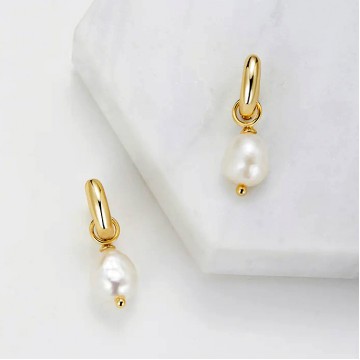 Earrings | Charlie Mini Hoop | Gold Earrings | Charlie Mini Hoop | Gold