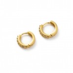 Earrings | Ally Huggie | Gold Earrings | Ally Huggie | Gold