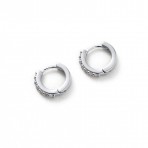 Earrings | Ally Huggie | Silver
