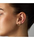 Earrings | Bailey Huggie | Gold